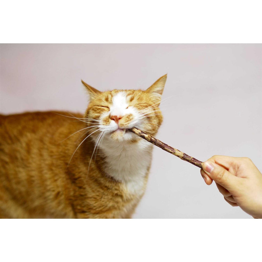 Silver Vine Stick Cat Chew Toy Q1767