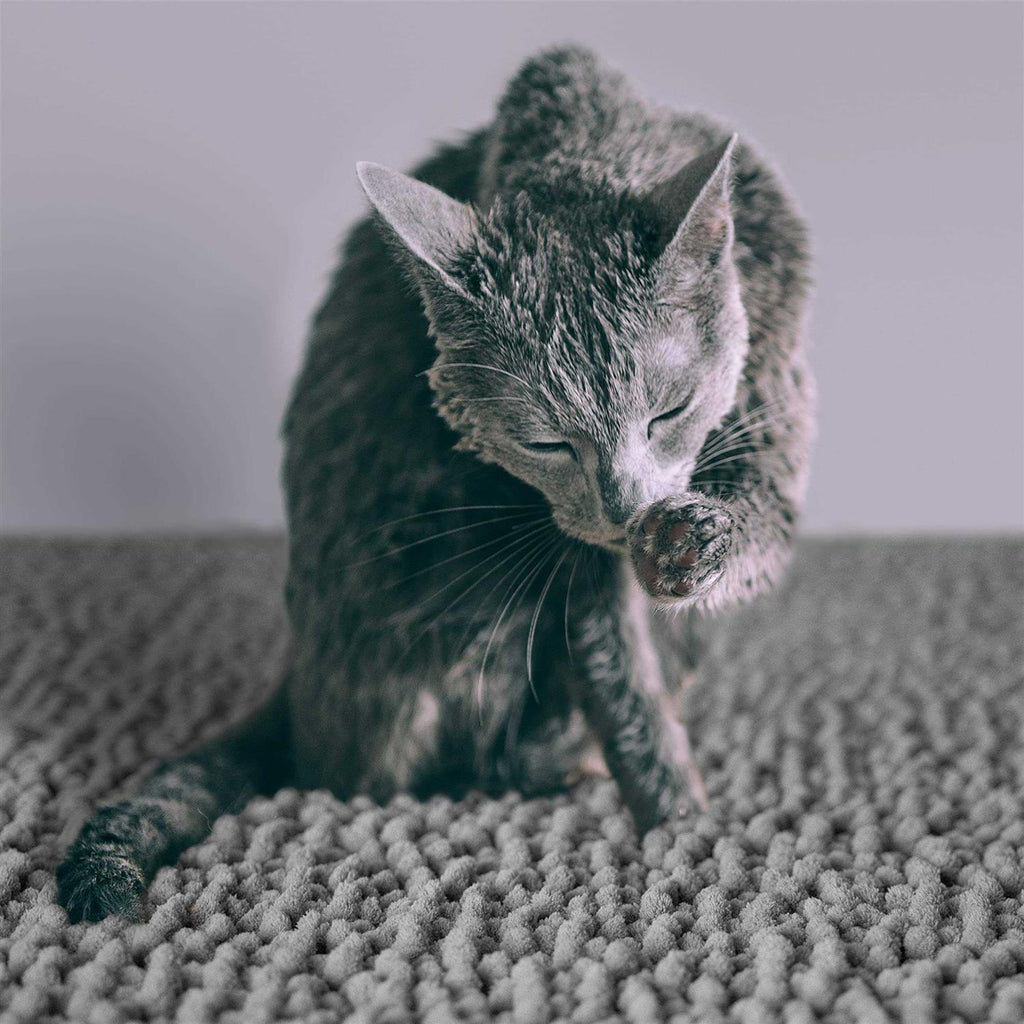 Waterproof Cat Litter Mat Z597