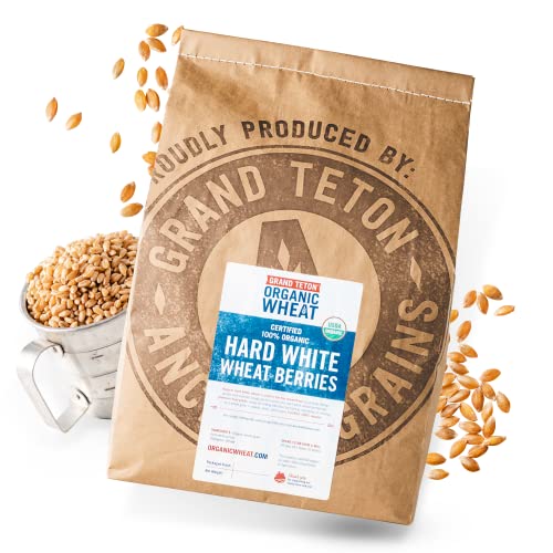 43 lbs Organic Hard White Wheat Berries O331