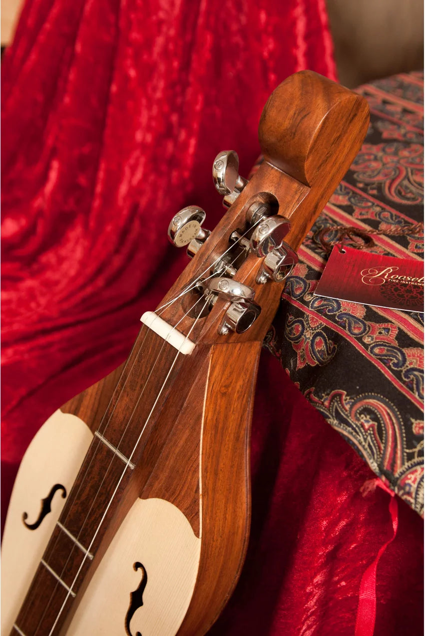 4 String Dulcimer N80335