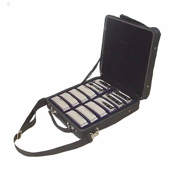 Blues King Harmonica Set W88248