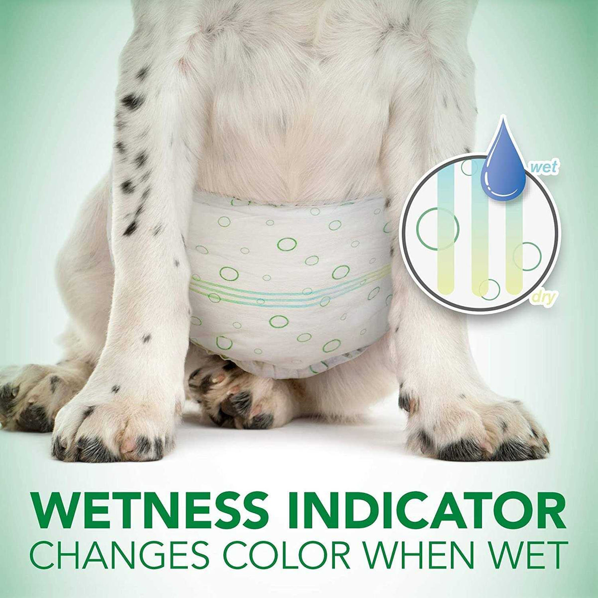 Disposable Male Dog Wraps Y9172