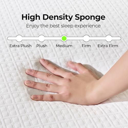 Twin 8 Inch Gel Memory Foam Mattress with Waterproof Protector E2254