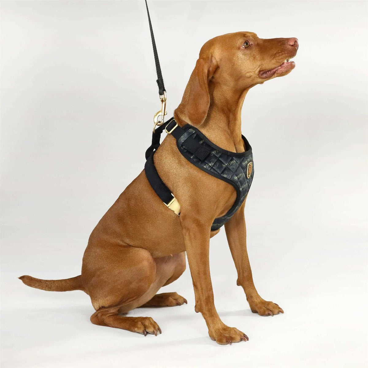 Quilted Pet Harness B3247
