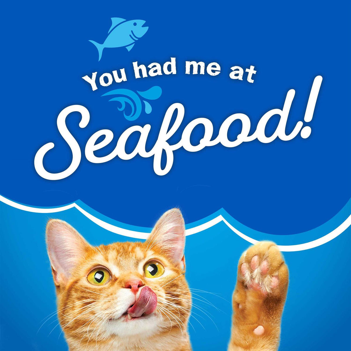 Dry Cat Food R5718