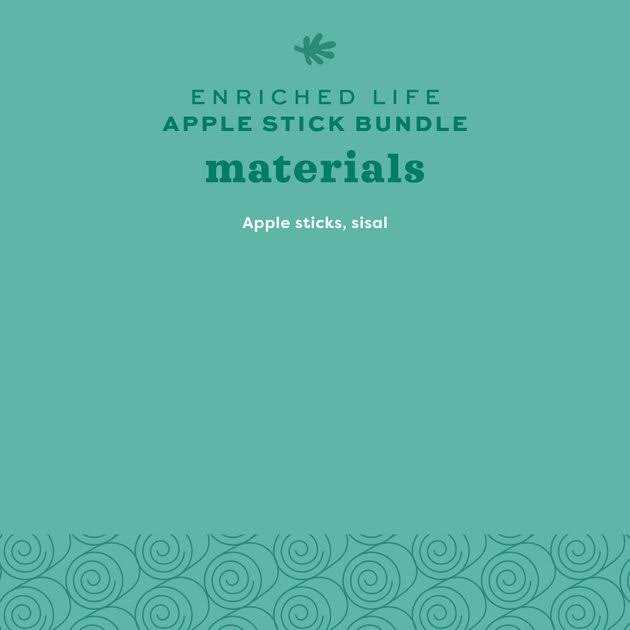 Apple Stick Bundle Q49463