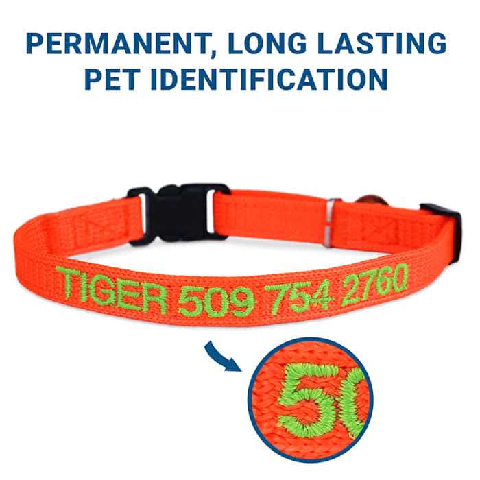 Nylon Personalized Breakaway Cat Collar with Bell F514188