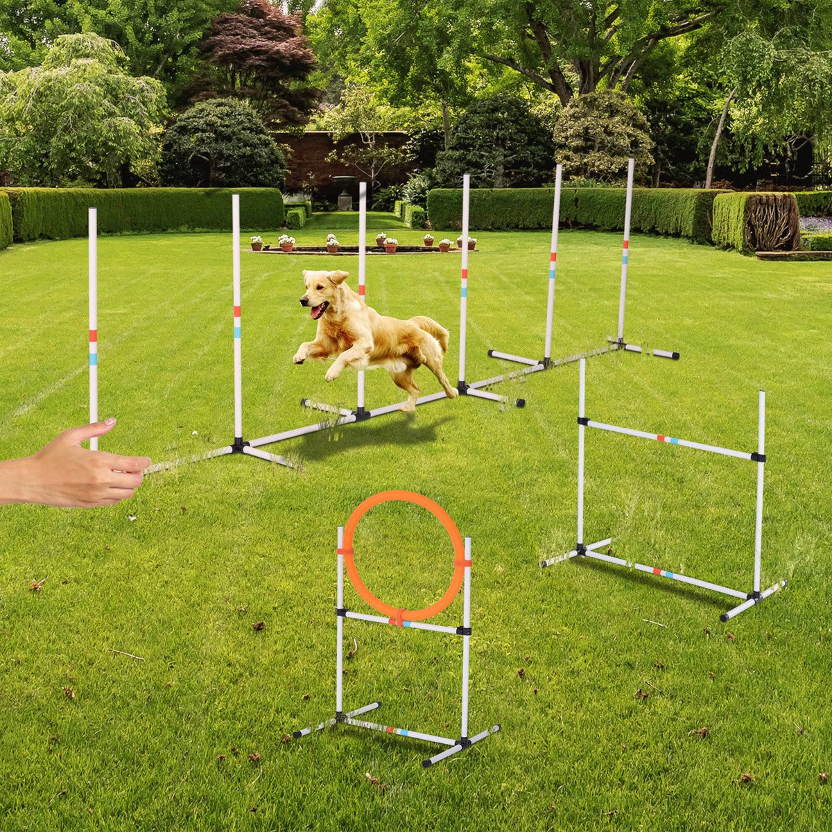 Portable Pet Agility Training Set with Carry Bag H330