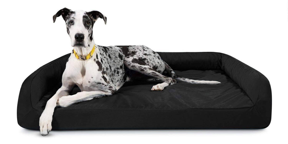 Black X-Large Orthopedic Dog Bed Y891358
