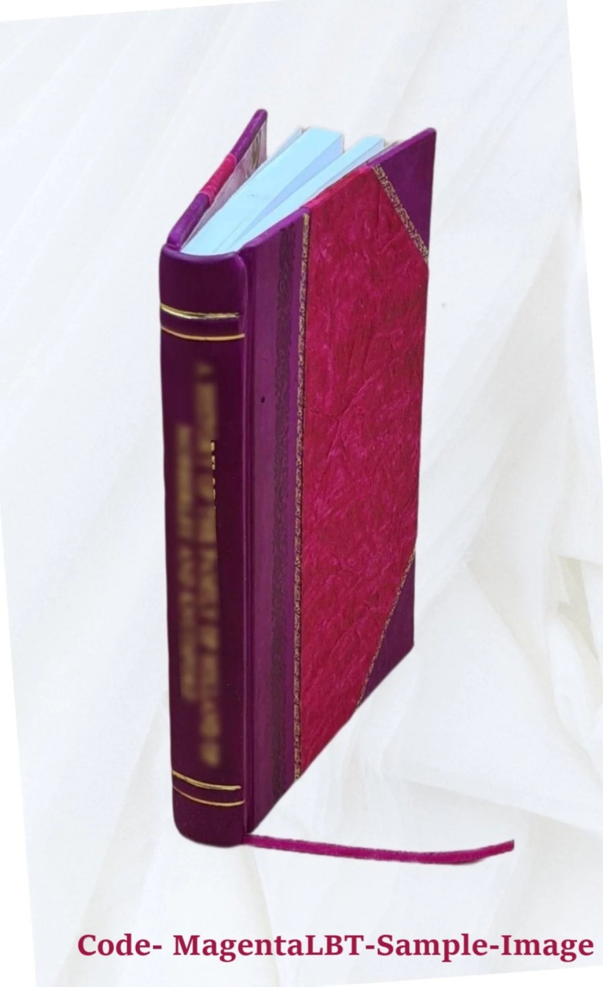 Safety-related Electrical Equipment Environmental Qualification Assessment Leather Bound N44792