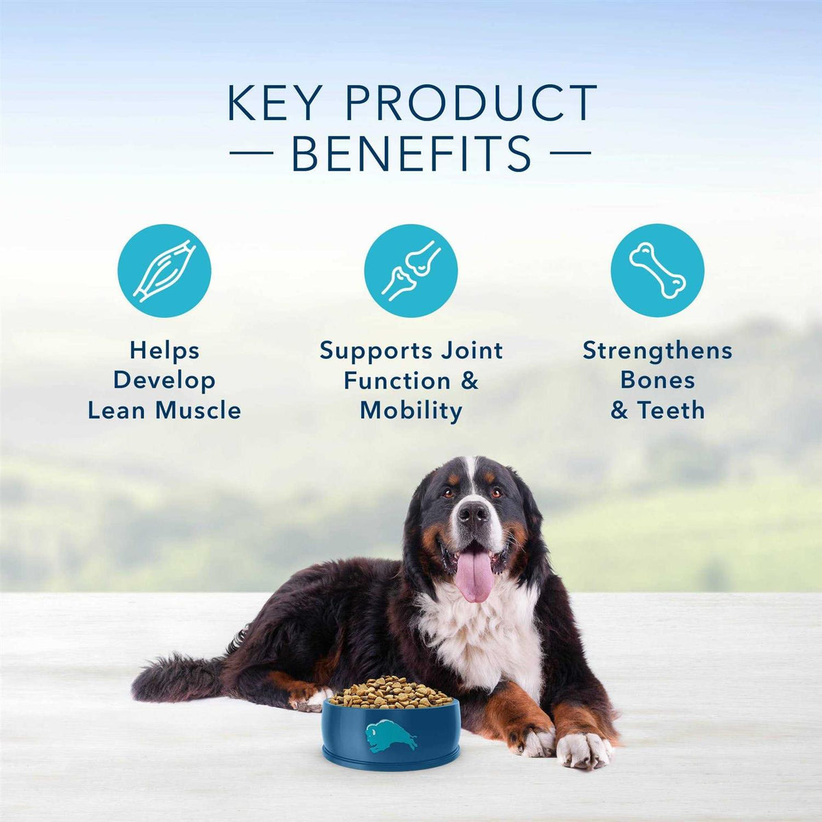 Adult Dry Dog Food H330
