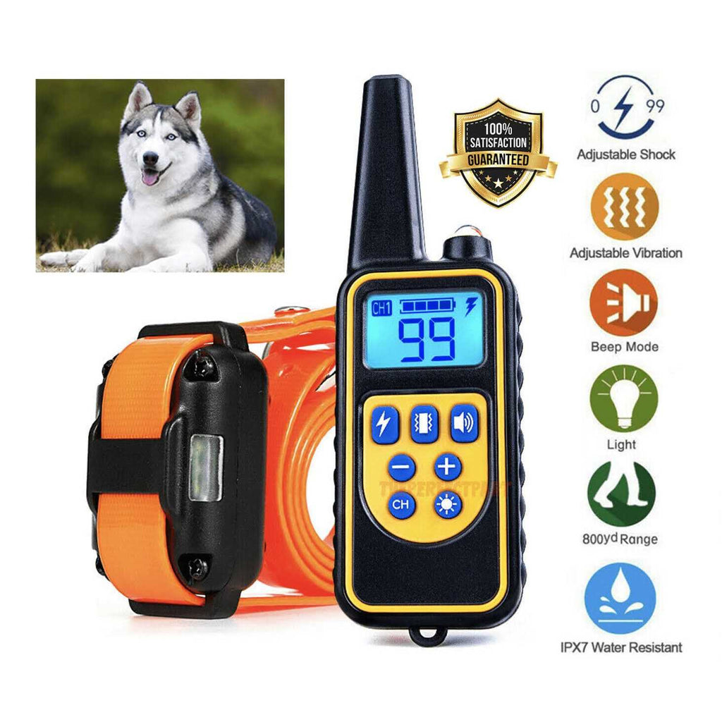 Dog Training Collar W996