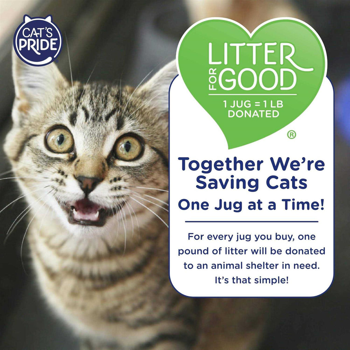 Scented Cat Litter M817