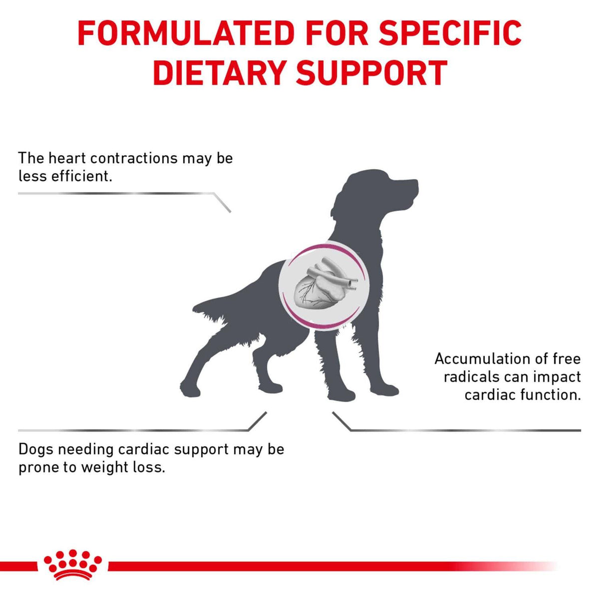 Veterinary Diet Dry Dog Food M690